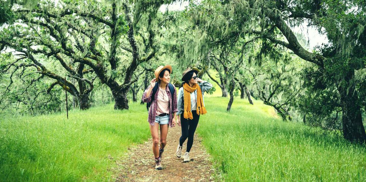 hike-napa